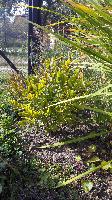IMG 20150919 141324