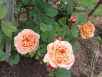 20140630 100427