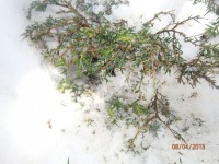 P4080031