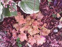 IMG 20140930 191030