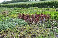 0 163c77 11928182 orig