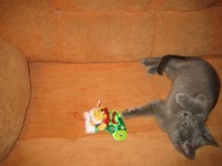 IMG 4780