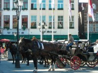 DSCN4531 изменение размера