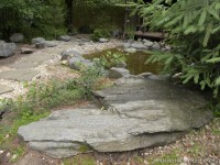 Наташа  дорожка к пруду