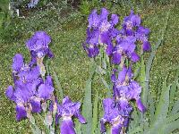 IMG 3608
