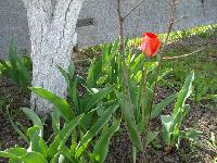 DSC00039