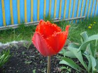DSC00055