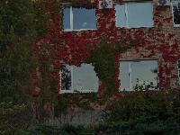 DSC01848