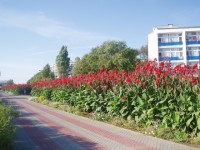 P1010048