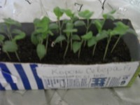 DSCF2568