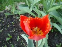 DSC00056