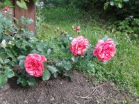 20140630 162218