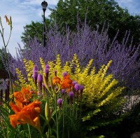 967964784 d96420aac5