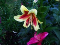 IMGP0324