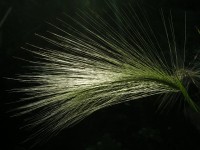 DSCN1330
