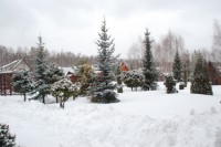 DSC 7743