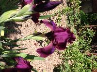 IMG 2819