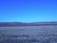 DSCN6032