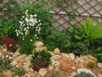 колокольчики 3