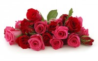 getImage  11