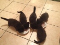 image 20 11 13 08 58