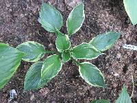 Изображение 210