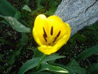 DSC00064