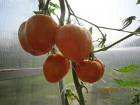 IMG 5891
