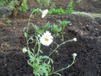 Изображение 049