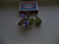 DSC00960