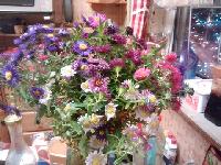 IMG 20151021 202151