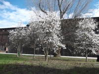 DSCF0387