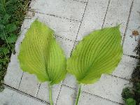 DSC01498