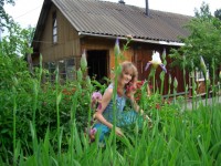 Я в ирисах  1