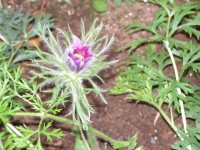 P9221657