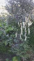 IMG 20140907 162234