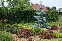 DSCF1639