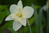 DSC 0258