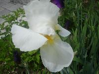 DSC07303
