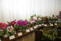 Экспозиция древовидных пионов