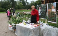 Мелентьева
