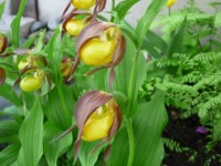 Изображение 127