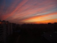 всего понемногу 2014 017