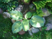 DSC00151