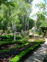 DSCN7971 изменение размера