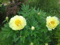 20130614 120854