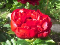20140611 161324
