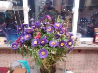 IMG 20151021 202203