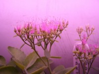 2012 02 07