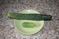IMG 4957